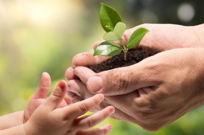 A Gift Through Your Will or Estate